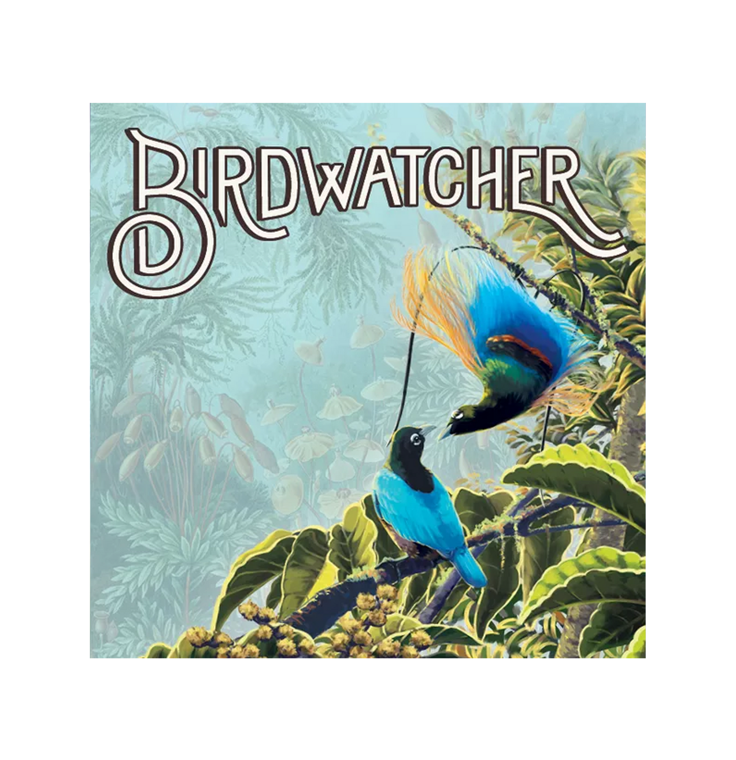 Birdwatcher