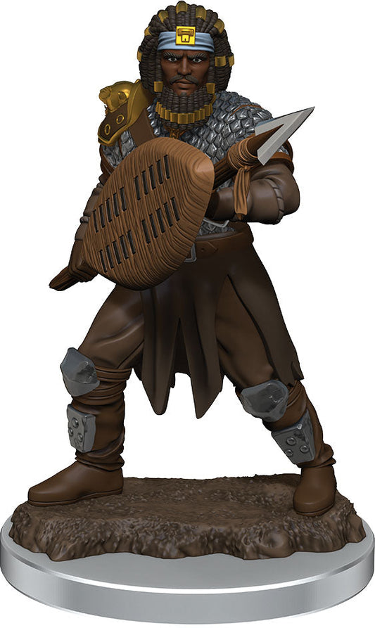 Dungeons & Dragons Fantasy Miniatures: Icons of the Realms Premium Figures W7 Human Fighter