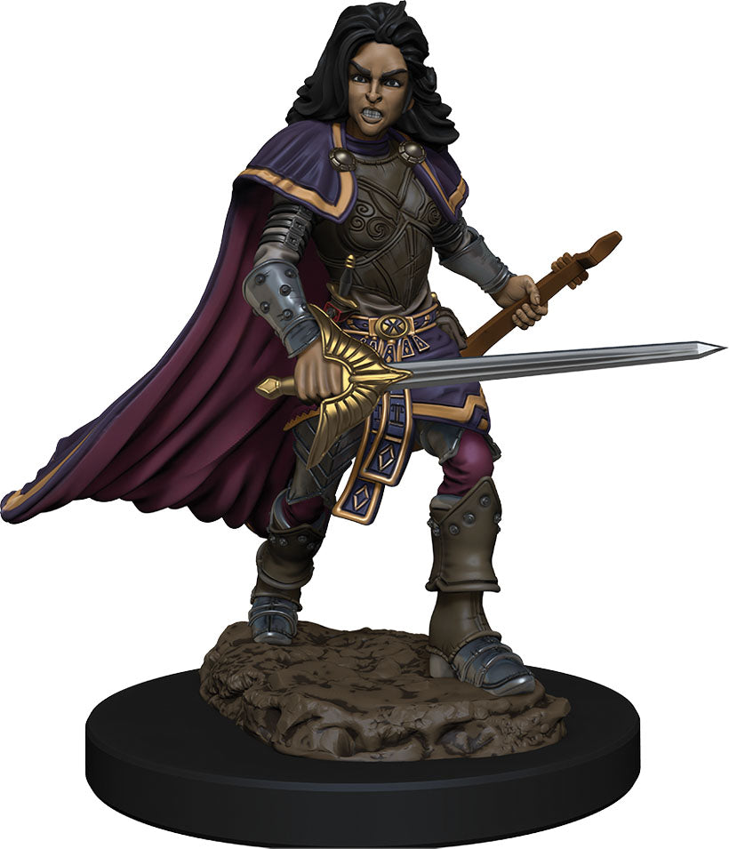 Pathfinder Battles: Premium Painted Figure - W2 Female Human Bard