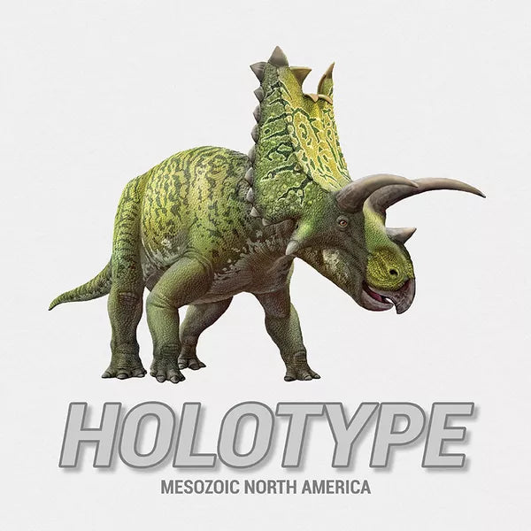 Holotype: Mesozoic North America