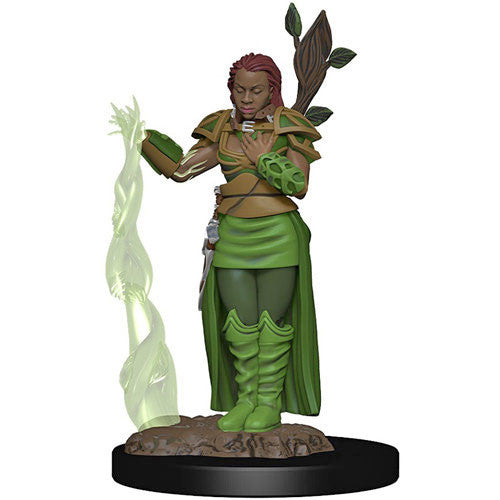 Dungeons & Dragons Icons of the Realms Premium Figures: W2 Human Female Druid
